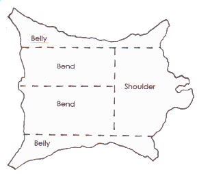 holsters